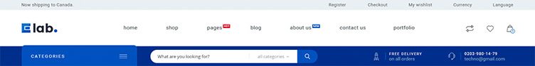 Multi Vendor Marketplace WP Themes