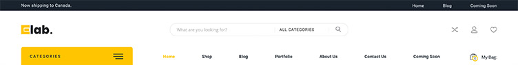 WooCommerce Multi Vendor Theme